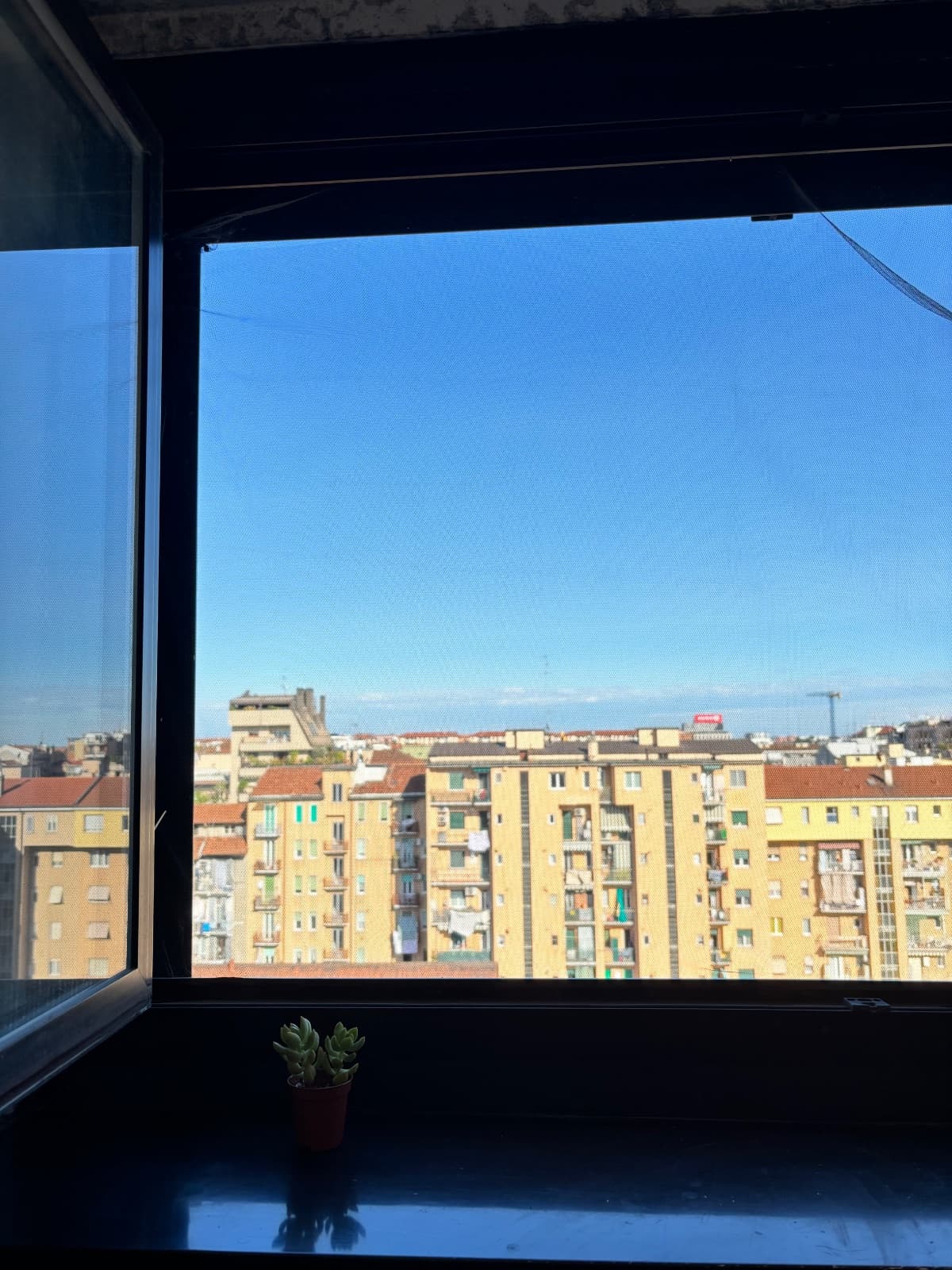 Single room in Città Studi-Lambrate, foto 1